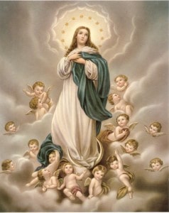 Imagem de Nossa Senhora da Imaculada Conceição